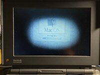 IMG_4585.jpeg IMG_4585.jpeg