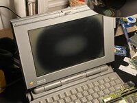 IMG_4586.jpeg IMG_4586.jpeg