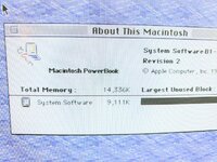 IMG_4591.jpeg
