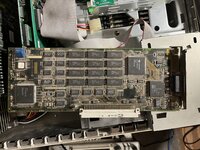 IMG_1566.jpeg