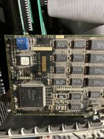 IMG_1567.jpeg