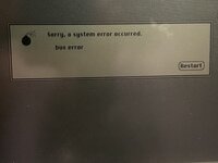 IMG_3377.jpeg IMG_3377.jpeg