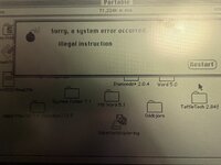 IMG_3381.jpeg