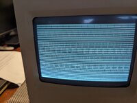 PXL_20231211_231030913 (Medium).jpg