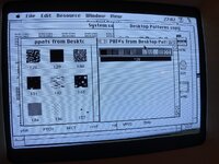 IMG_4894.jpeg IMG_4894.jpeg