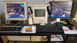 20231213_160352.jpg