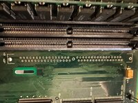 IMG_2118.jpeg