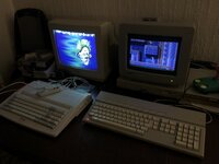 IMG_0653.jpeg