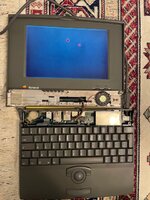 IMG_8584.jpeg