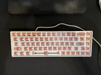 IMG_6488.JPG IMG_6488.JPG