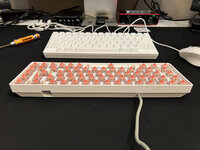 IMG_6489.JPG IMG_6489.JPG