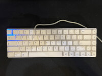 IMG_6490.JPG IMG_6490.JPG