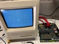 IMG_0784.jpeg