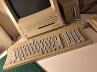 IMG_0692.jpeg