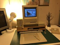 IMG_0701.jpeg