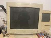 IMG_9021.jpeg