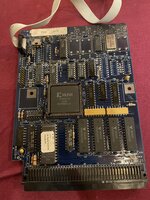 IMG_2347.jpeg
