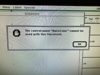 photo_2024-01-10 11.24.06.jpeg