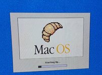 1000015463.jpg 1000015463.jpg