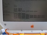 PXL_20240111_164804646.jpg