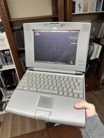 IMG_6551.jpeg