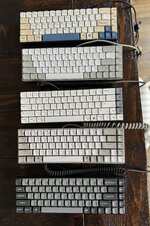 IMG_2168.jpeg