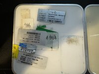 IMG_0987.jpeg