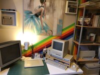 IMG_0962.jpeg