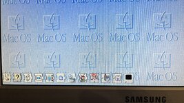 2024-01-27 19.07.39.jpg