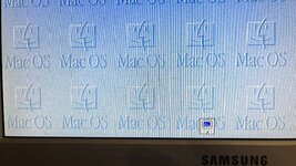 2024-01-27 19.07.41.jpg