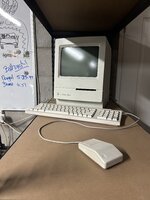 IMG_2963.jpeg