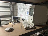 IMG_2964.jpeg
