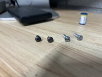 IMG_2969.jpeg