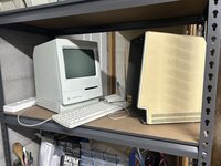 IMG_2967.jpeg