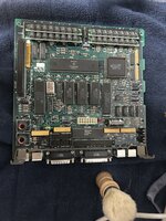 IMG_2961.jpeg