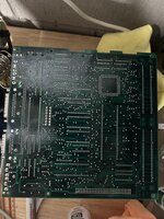 IMG_2959.jpeg