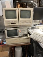IMG_2186.jpeg