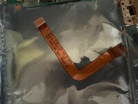 IMG_2367.jpeg