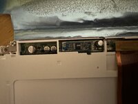 IMG_2366.jpeg