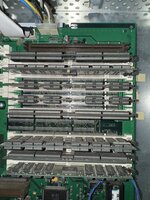 IMG_2904.jpeg