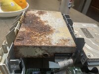 floppyrust.jpg floppyrust.jpg