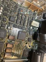 iisigrotesque2.jpg iisigrotesque2.jpg