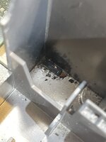 peekaboo.jpg peekaboo.jpg