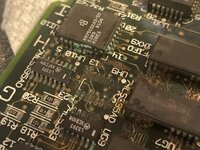 moremissinglegs.jpg moremissinglegs.jpg