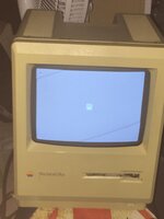 1707331008967.jpeg 1707331008967.jpeg