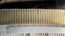 IMG_7381.jpeg