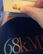 IMG_8498.jpeg