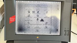 After drying for 2.5 days.jpg