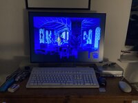 IMG_8677.jpeg