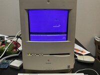IMG_1228.jpeg IMG_1228.jpeg